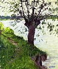 Gustave Caillebotte Willow on the Banks of the Seine painting